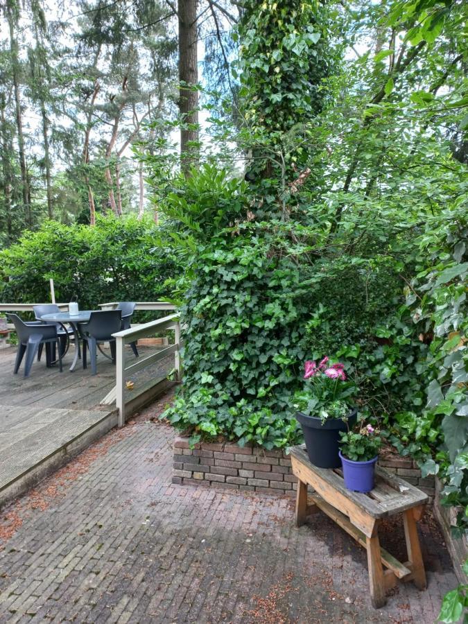 Vogelzang Villa Hattemerbroek Exterior photo